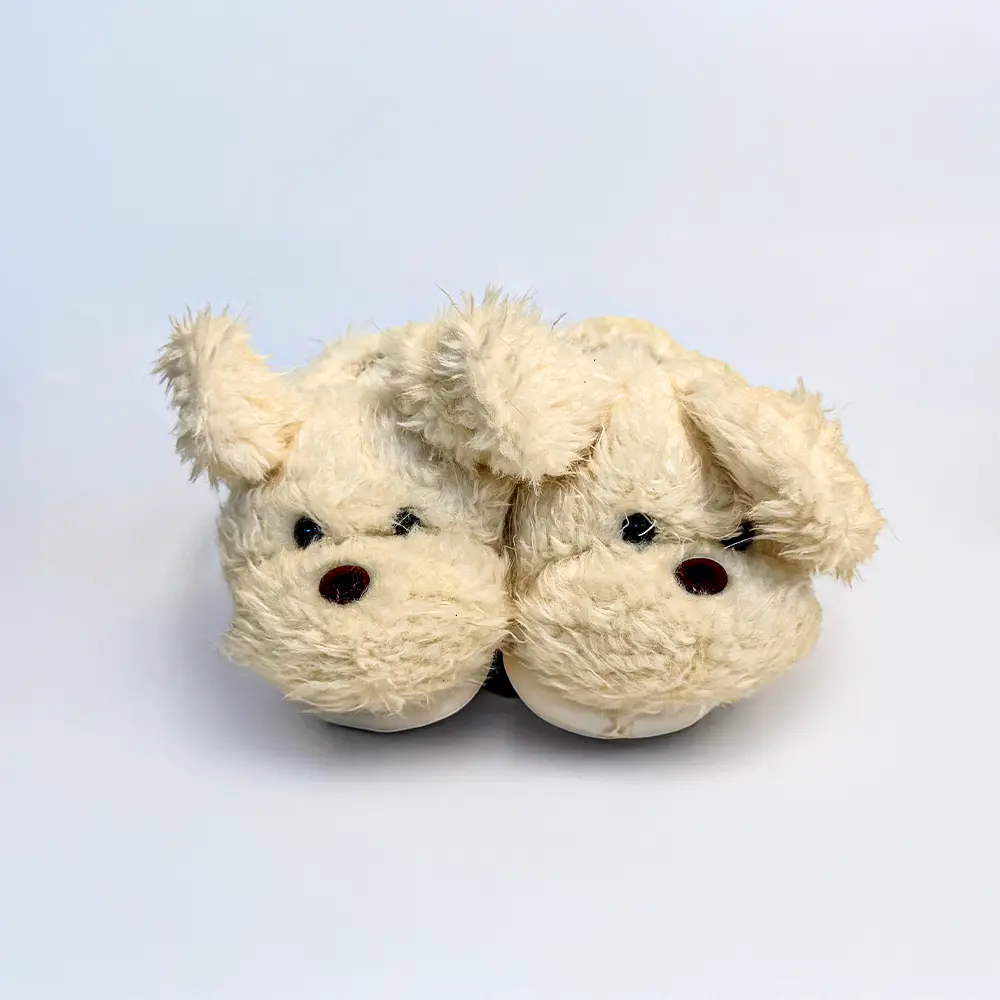 Kute Koala